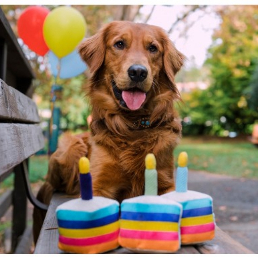 Party Time Plush Toy